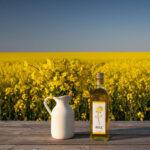 Les huiles de graines - Tournesol, Colza, Carthame & Sésame