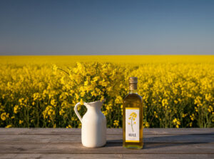 Les huiles de graines - Tournesol, Colza, Carthame & Sésame