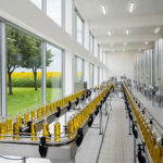 Les huiles et graisses végétales modifiées et ultra transformées